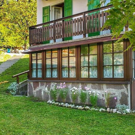 Cozy Alpine House Di Svaizer Lägenhet San Martino Di Castrozza Exteriör bild